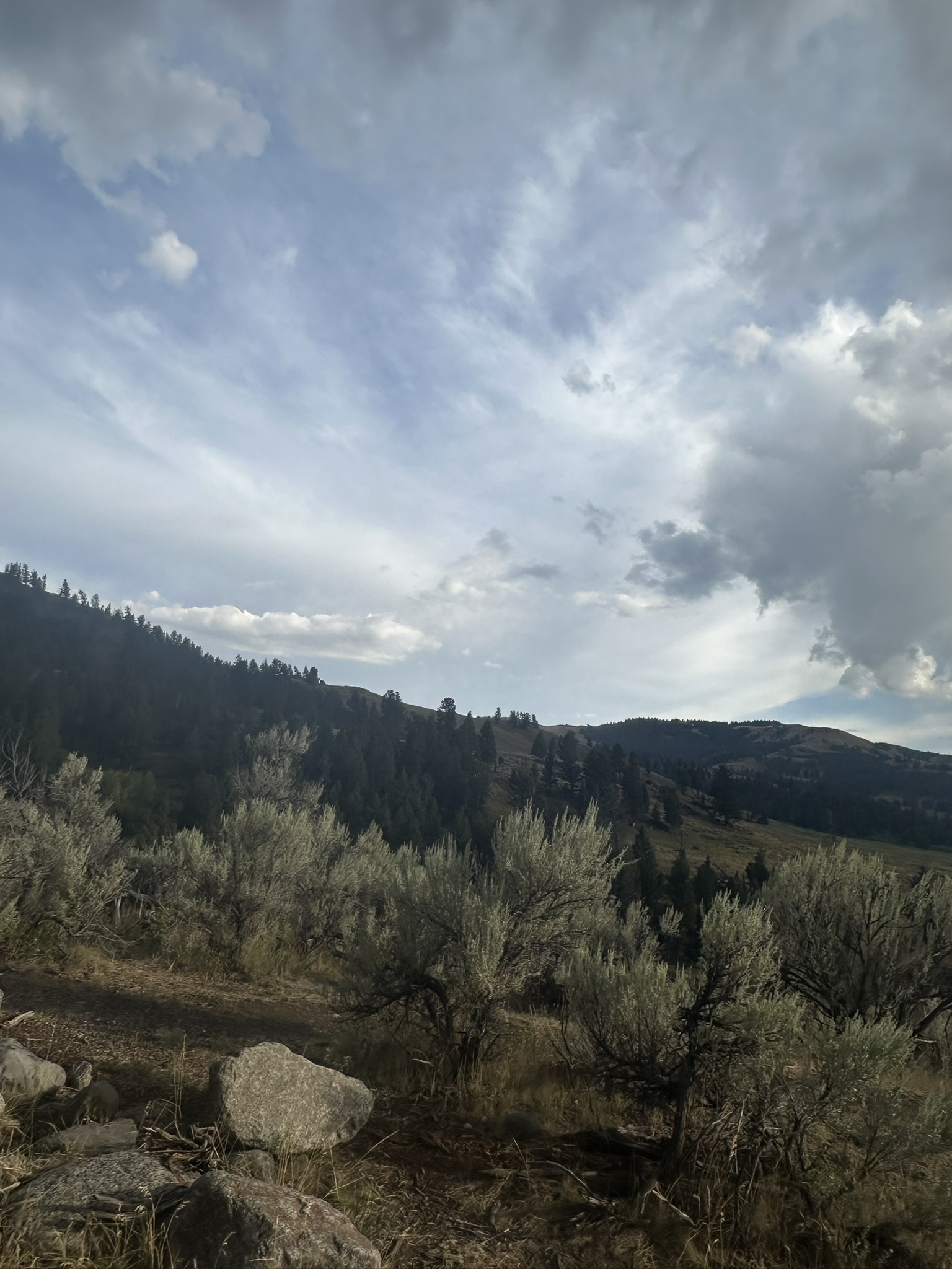Yellowstone And Grand Teton National Parks - Image 1119